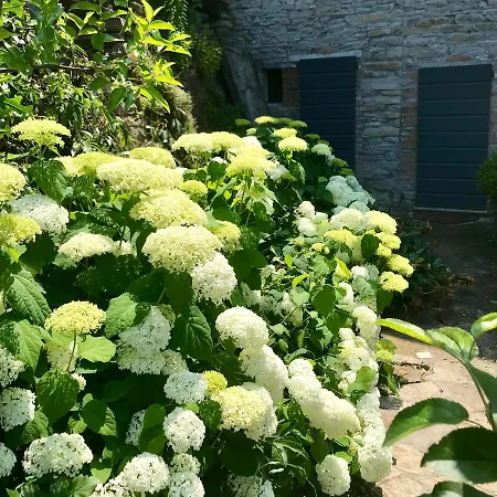Bed & Breakfast Gli Orti Del Trebbia Travo