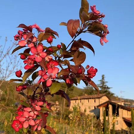 Gli Orti Del Trebbia Frühstückspension