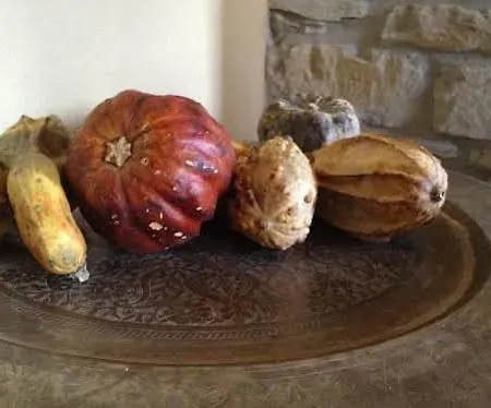 Gli Orti Del Trebbia Bed & Breakfast Travo